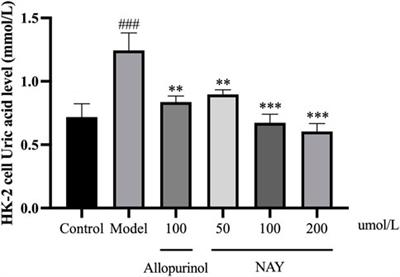 Therapeutic effects and mechanisms of N-(9,10-anthraquinone-2-ylcarbonyl) xanthine oxidase inhibitors on hyperuricemia